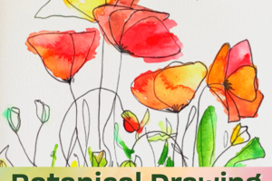 poppies hand draw with loos watercolor shading