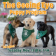 The Seeing Eye Puppy Program