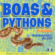 Boas and Pythons