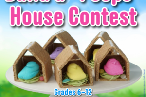 graham cracker houses for peeps of all colors