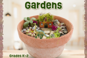 succulent garden in a pot and decorative text