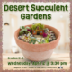 Desert Succulent Gardens