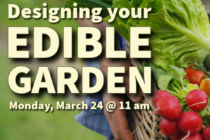 decorative type with radishes lettuce and tomatoes in a basket