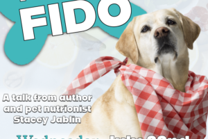 dog with red checked napkin as a bib and decorative text with a dog bone in the background