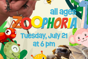 Cartoon baby reptiles