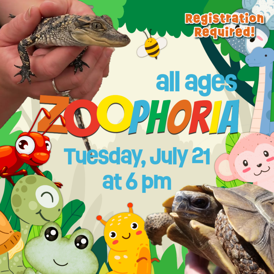 Cartoon baby reptiles