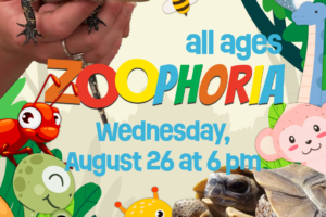 baby reptiles and cartoon animals