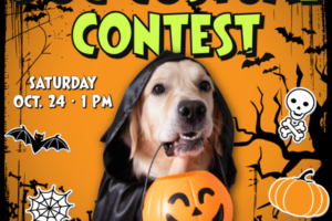 Dog holding plastic Pumpkin with decorative text