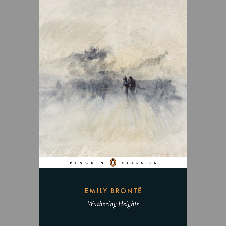 two people out in the fog , book cover with text